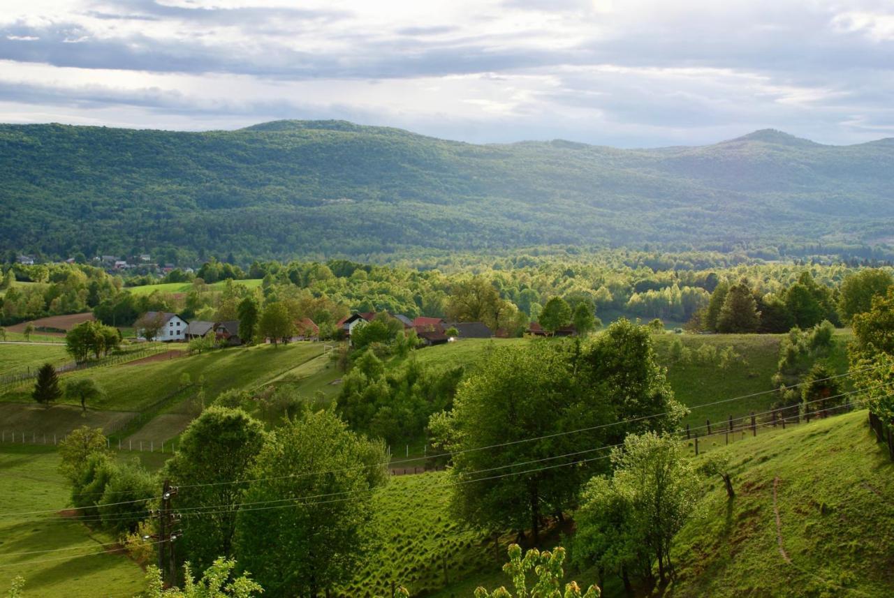 Frankovic Bed&Breakfast Vinica Exterior foto